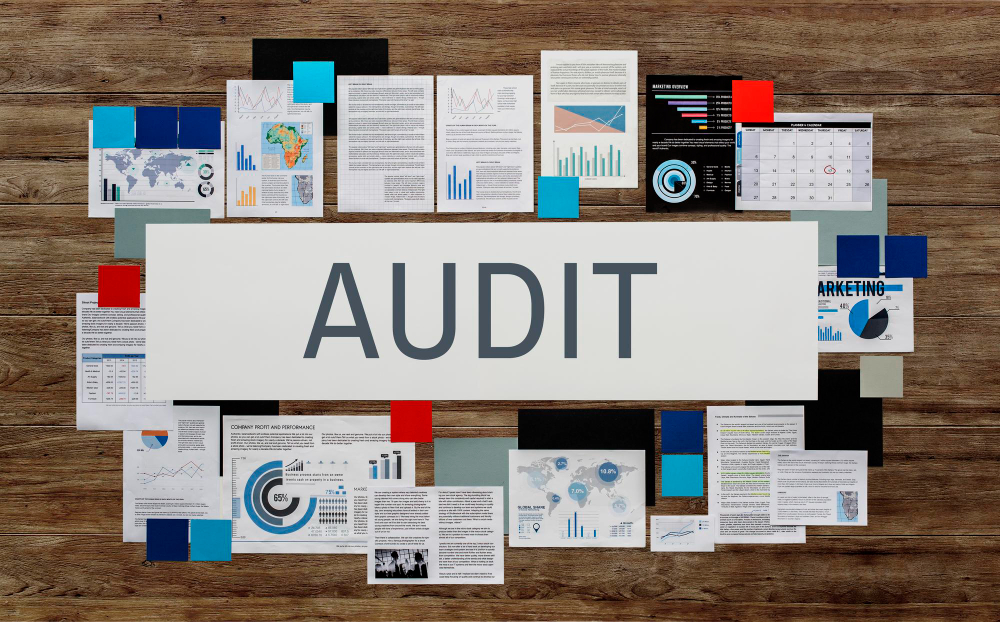 TRAINING, AUDITS, AND GUIDELINES TO ENSURE HEALTHCARE COMPLIANCE